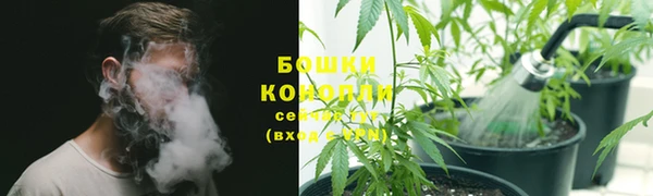 каннабис Фёдоровский