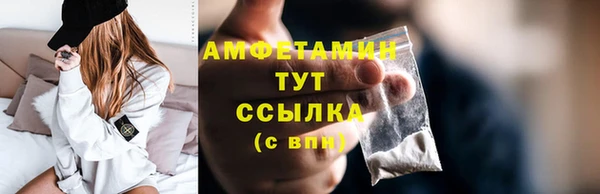 соль ск Козельск
