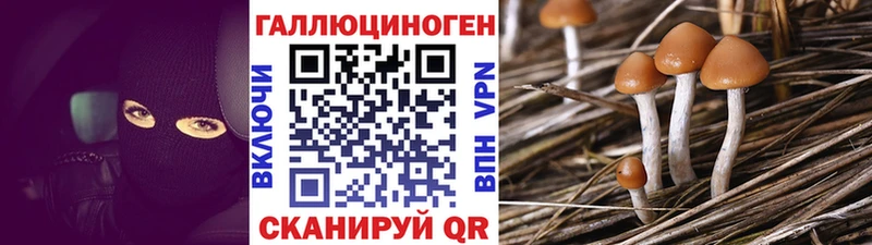 Псилоцибиновые грибы Psilocybe  Архангельск 